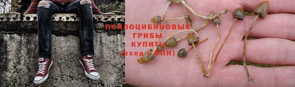 марки lsd Новодвинск